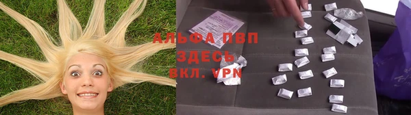 дживик Вязьма