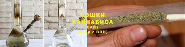 дживик Вязьма