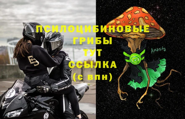 дживик Вязьма