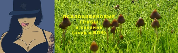 дживик Вязьма