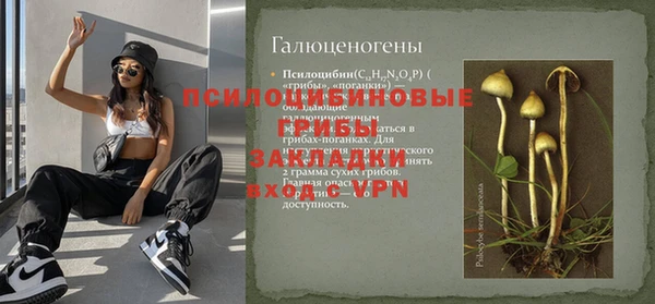 дживик Вязьма