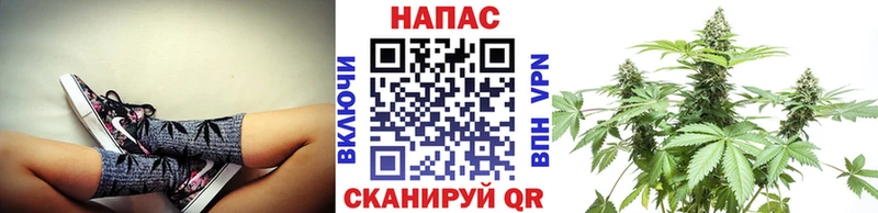 как найти   Невинномысск  Бошки марихуана Bruce Banner 